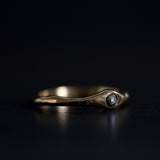 ORBIT RING