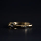 ORBIT RING