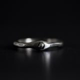 ORBIT RING